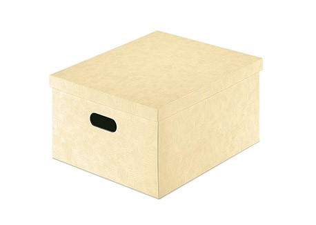Κουτί οργάνωσης