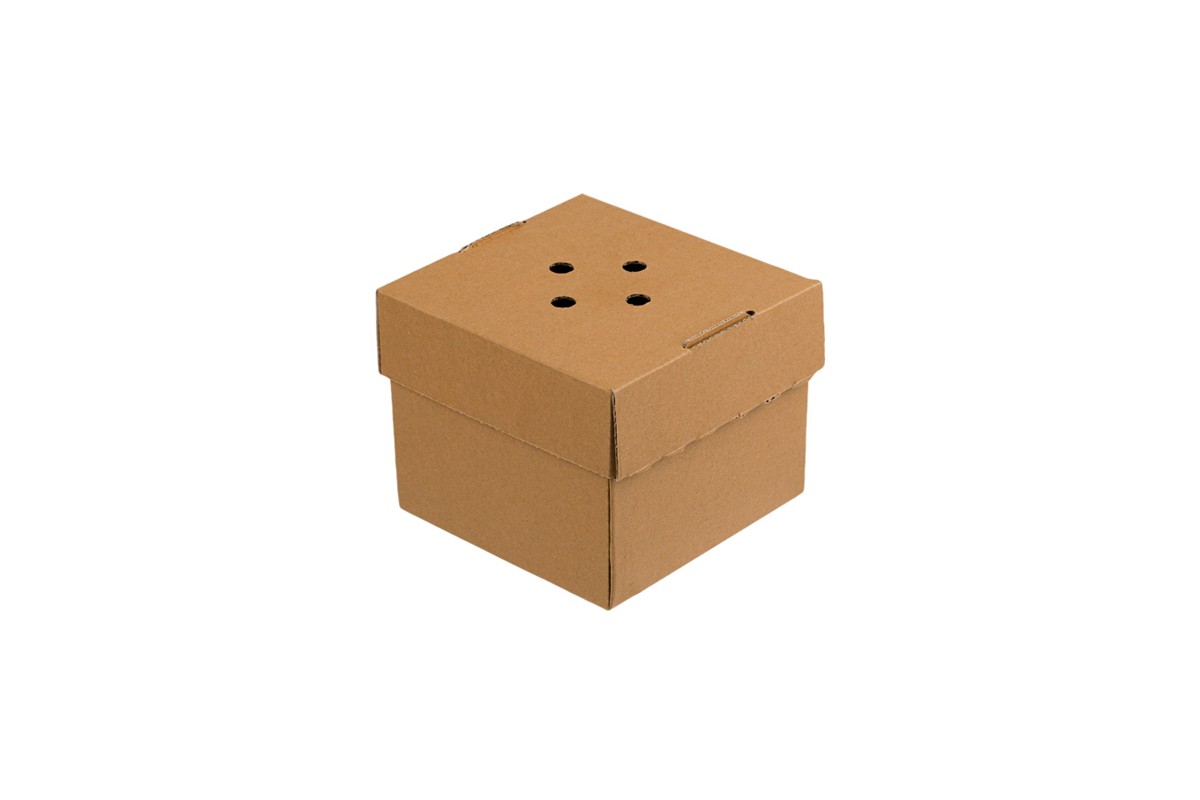 Κουτί φαγητού κραφτ 12x12x10cm (100τμχ)